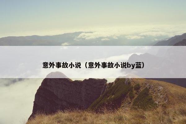 意外事故小说（意外事故小说by蓝）