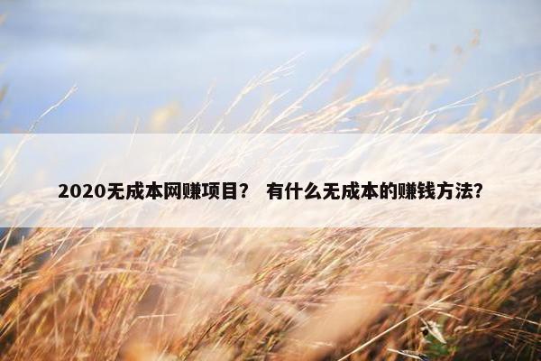 2020无成本网赚项目？ 有什么无成本的赚钱方法？