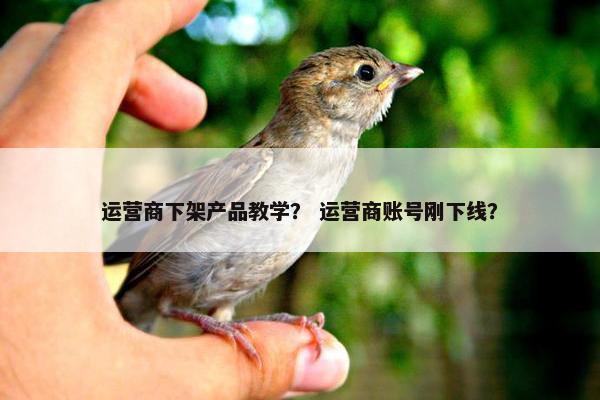 运营商下架产品教学？ 运营商账号刚下线？