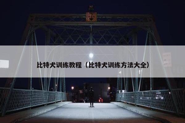 比特犬训练教程（比特犬训练方法大全）
