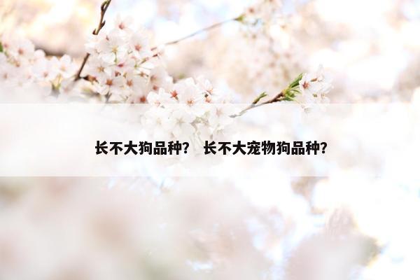 长不大狗品种？ 长不大宠物狗品种？