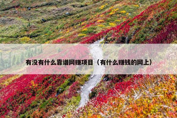 有没有什么靠谱网赚项目（有什么赚钱的网上）