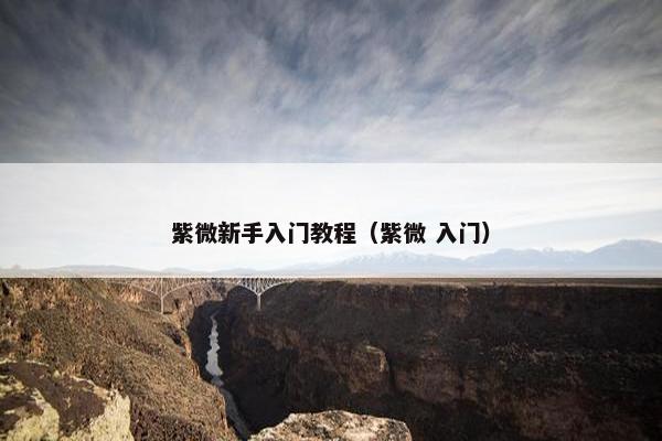 紫微新手入门教程（紫微 入门）