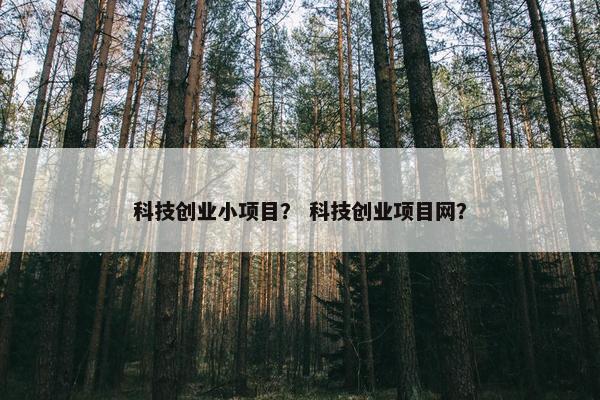 科技创业小项目？ 科技创业项目网？