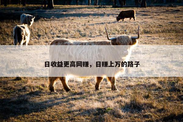 日收益更高网赚，日赚上万的路子