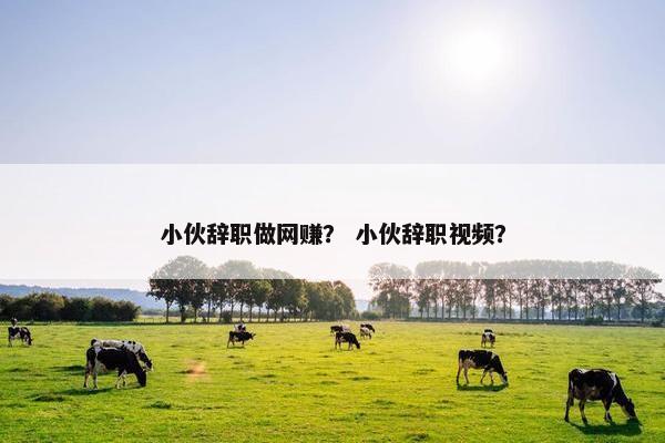 小伙辞职做网赚？ 小伙辞职视频？