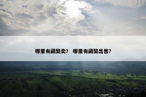 哪里有藏獒卖？ 哪里有藏獒出售？