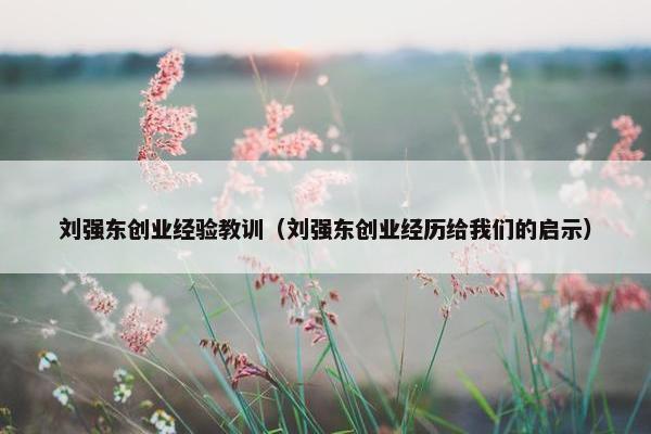 刘强东创业经验教训（刘强东创业经历给我们的启示）