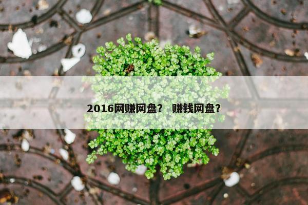 2016网赚网盘？ 赚钱网盘？