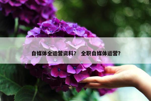 自媒体全运营资料？ 全职自媒体运营？