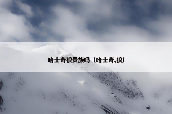 哈士奇狼贵族吗（哈士奇,狼）