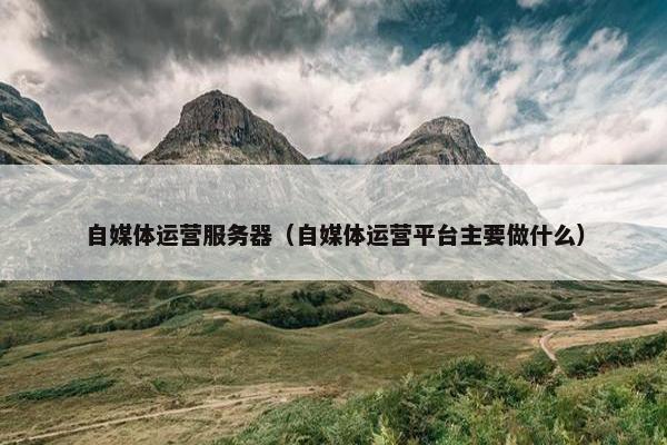 自媒体运营服务器（自媒体运营平台主要做什么）