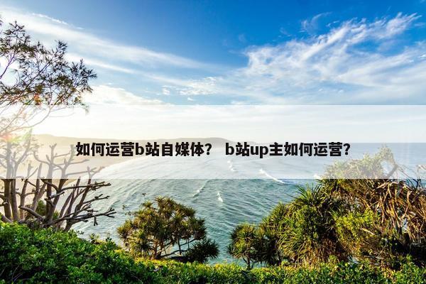 如何运营b站自媒体？ b站up主如何运营？