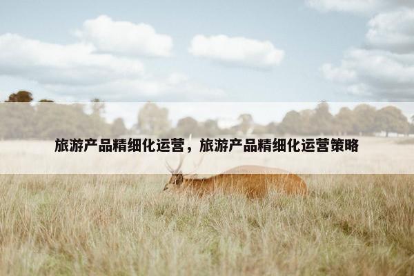 旅游产品精细化运营，旅游产品精细化运营策略