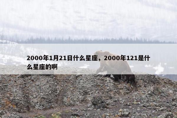 2000年1月21日什么星座，2000年121是什么星座的啊