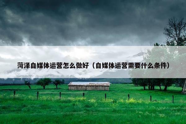 菏泽自媒体运营怎么做好（自媒体运营需要什么条件）
