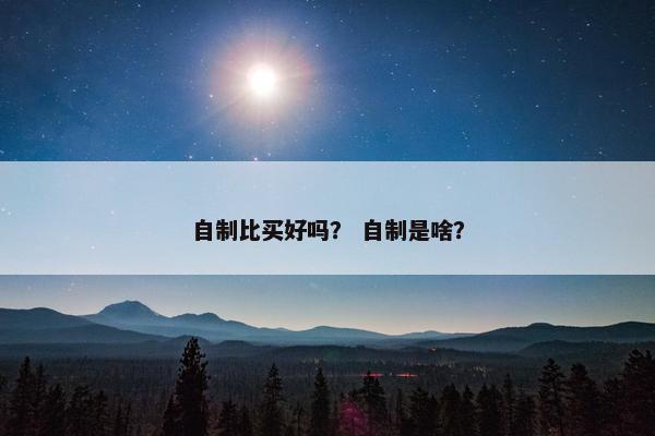 自制比买好吗？ 自制是啥？