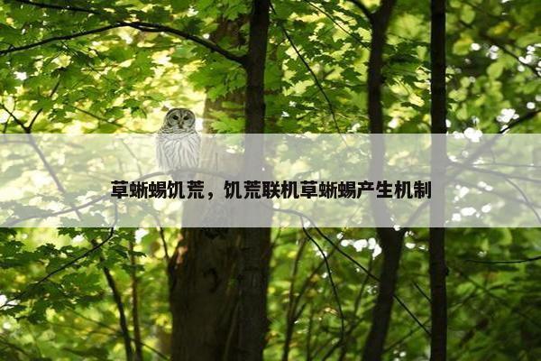 草蜥蜴饥荒，饥荒联机草蜥蜴产生机制