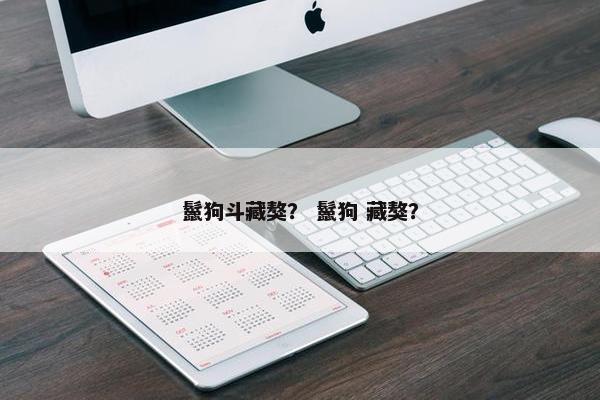 鬣狗斗藏獒？ 鬣狗 藏獒？