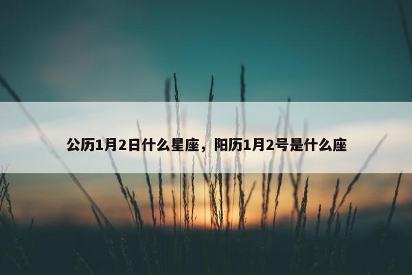 公历1月2日什么星座，阳历1月2号是什么座