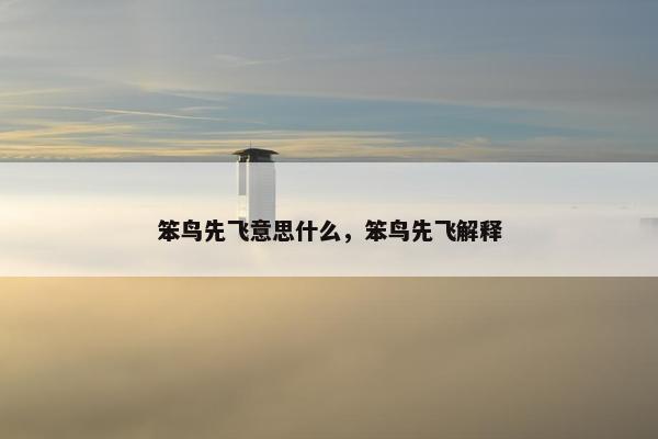 笨鸟先飞意思什么，笨鸟先飞解释