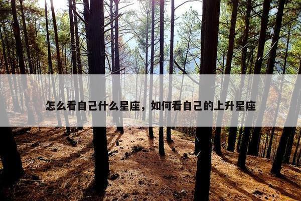 怎么看自己什么星座，如何看自己的上升星座