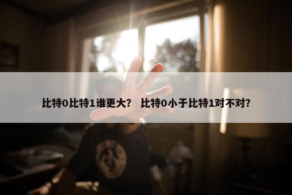 比特0比特1谁更大？ 比特0小于比特1对不对？
