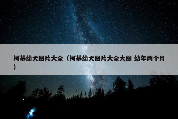 柯基幼犬图片大全（柯基幼犬图片大全大图 幼年两个月）