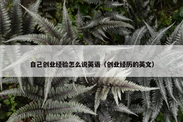 自己创业经验怎么说英语（创业经历的英文）