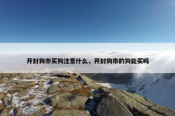 开封狗市买狗注意什么，开封狗市的狗能买吗