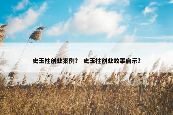 史玉柱创业案例？ 史玉柱创业故事启示？
