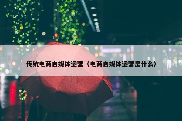 传统电商自媒体运营（电商自媒体运营是什么）