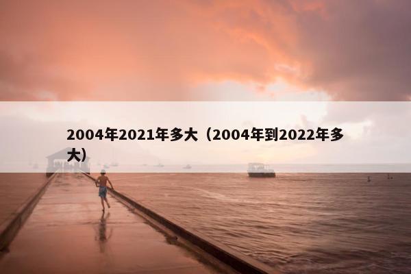 2004年2021年多大（2004年到2022年多大）