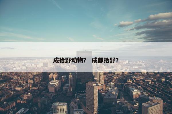 成拾野动物？ 成都拾野？