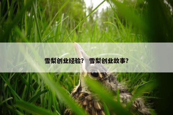 雪梨创业经验？ 雪梨创业故事？