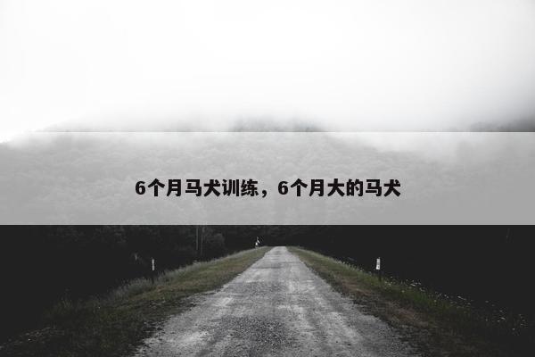 6个月马犬训练，6个月大的马犬