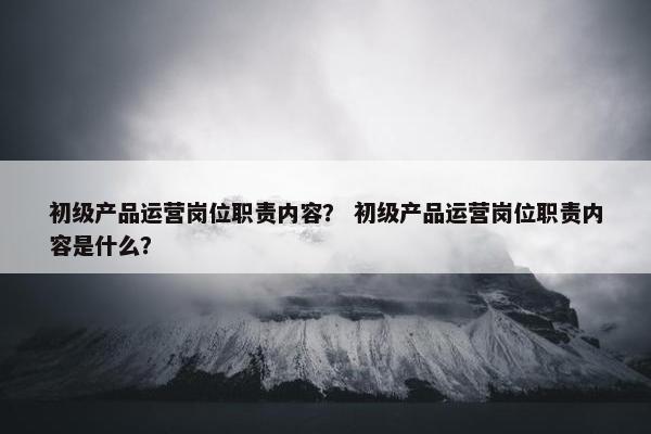 初级产品运营岗位职责内容？ 初级产品运营岗位职责内容是什么？