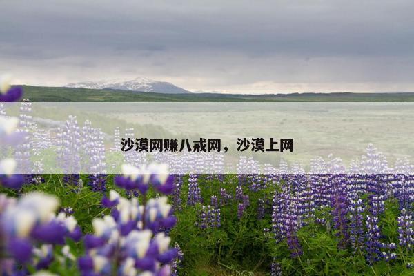 沙漠网赚八戒网，沙漠上网