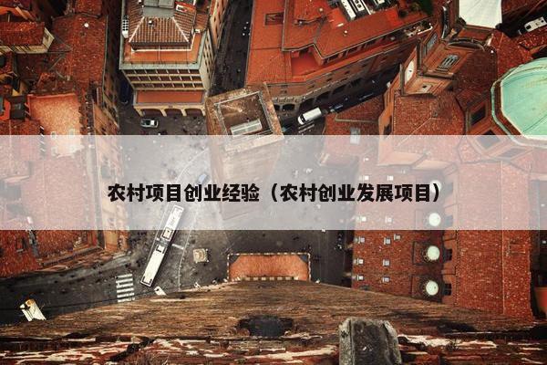 农村项目创业经验（农村创业发展项目）