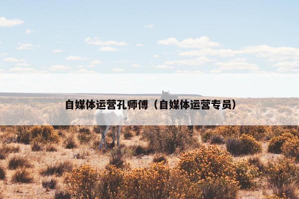 自媒体运营孔师傅（自媒体运营专员）