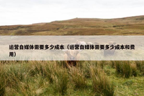 运营自媒体需要多少成本（运营自媒体需要多少成本和费用）