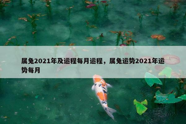属兔2021年及运程每月运程，属兔运势2021年运势每月