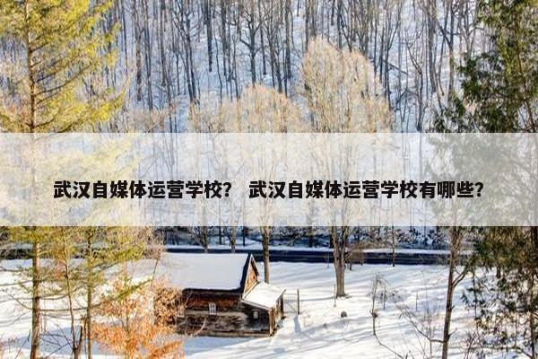 武汉自媒体运营学校？ 武汉自媒体运营学校有哪些？