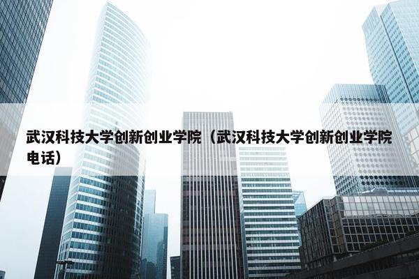 武汉科技大学创新创业学院（武汉科技大学创新创业学院电话）
