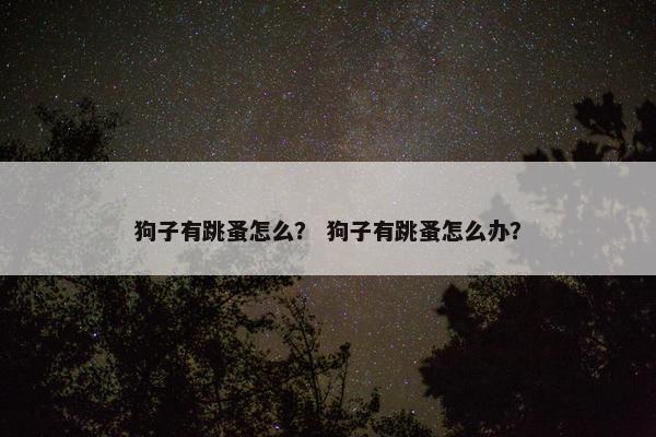 狗子有跳蚤怎么？ 狗子有跳蚤怎么办？