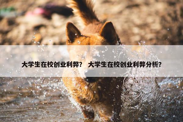 大学生在校创业利弊？ 大学生在校创业利弊分析？