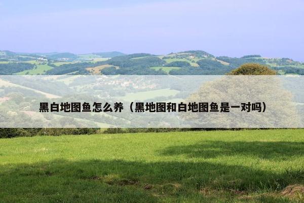 黑白地图鱼怎么养（黑地图和白地图鱼是一对吗）