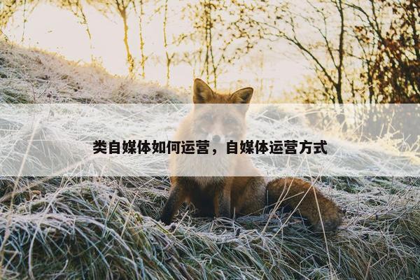 类自媒体如何运营，自媒体运营方式
