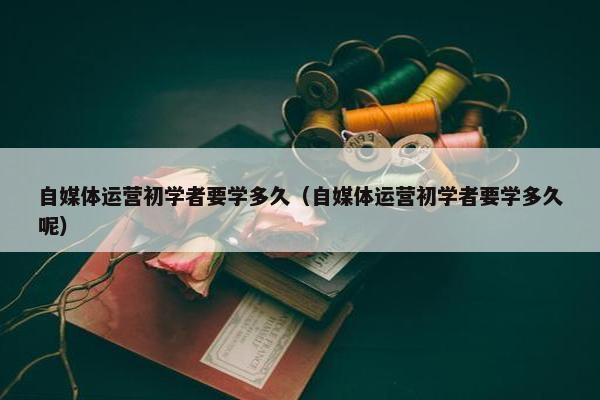 自媒体运营初学者要学多久（自媒体运营初学者要学多久呢）