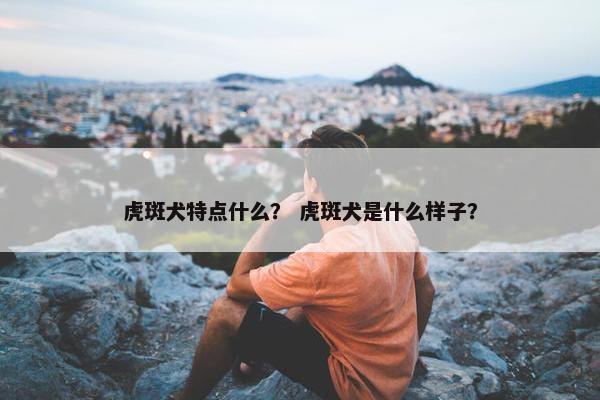 虎斑犬特点什么？ 虎斑犬是什么样子？